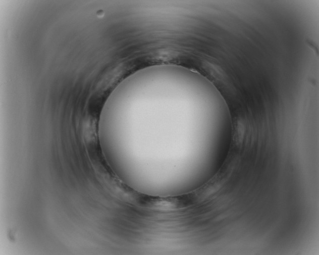 X0000103310236200809122058