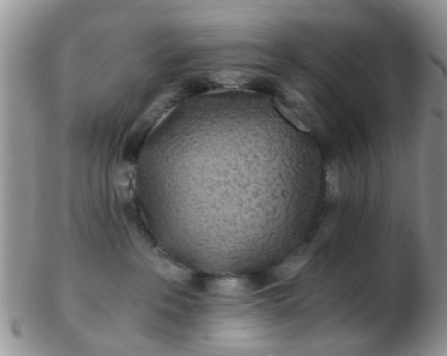 X0000103310237200809122058