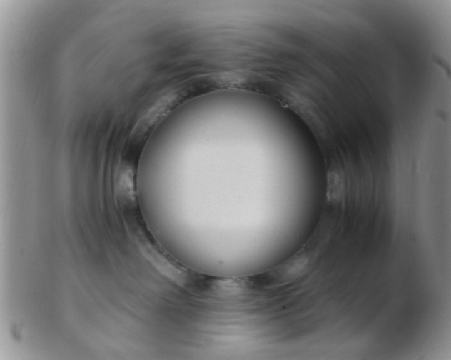 X0000103310238200809122058