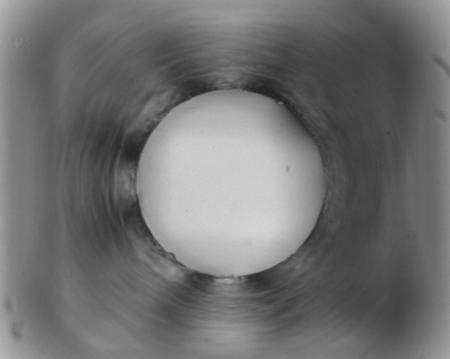 X0000103310240200809122058