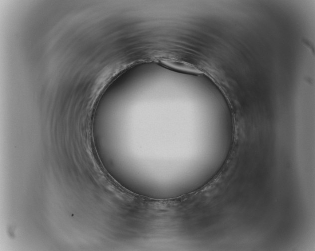 X0000103310241200809122058