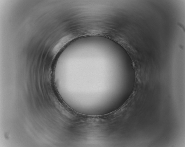 X0000103310242200809122058
