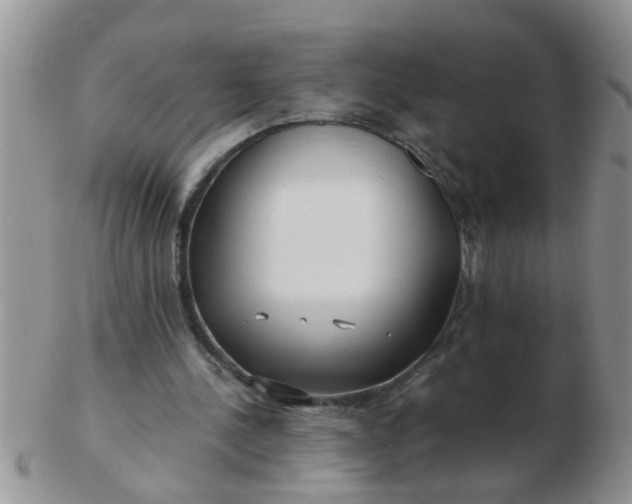 X0000103310244200809122058