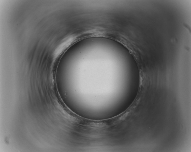 X0000103310245200809122058