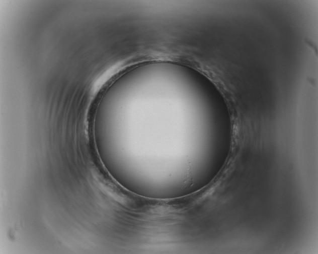 X0000103310246200809122058