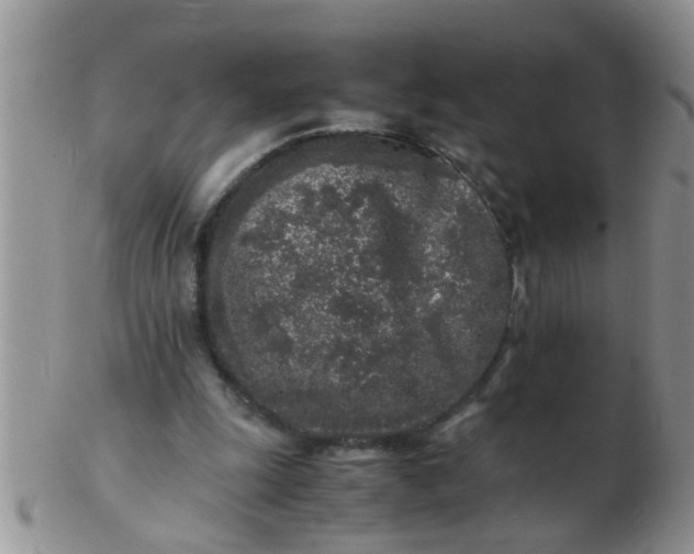 X0000103310247200809122058