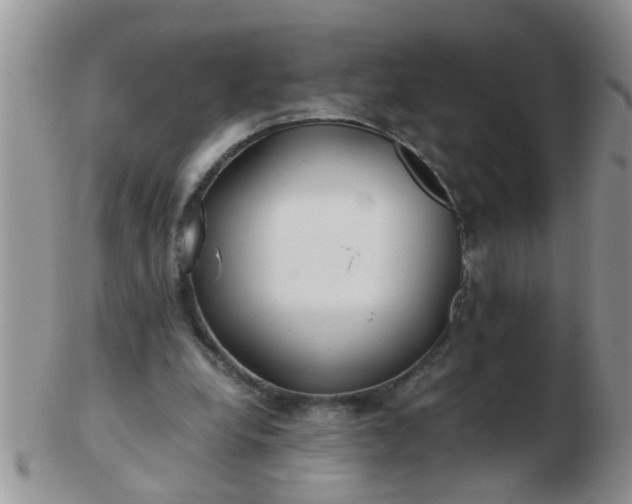 X0000103310248200809122058