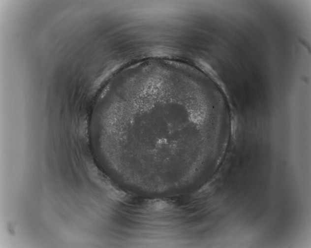 X0000103310249200809122058