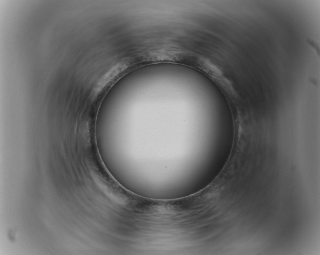 X0000103310250200809122058