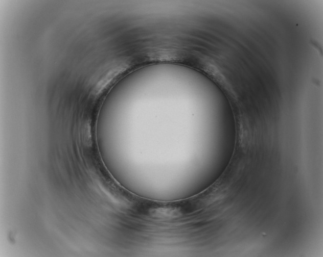 X0000103310251200809122058