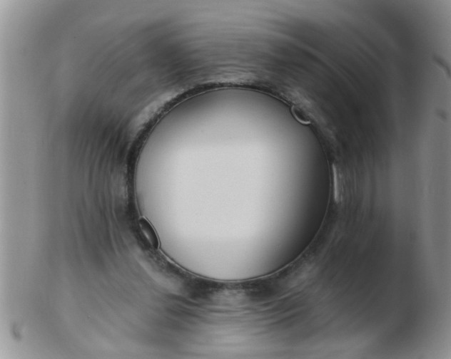 X0000103310252200809122058