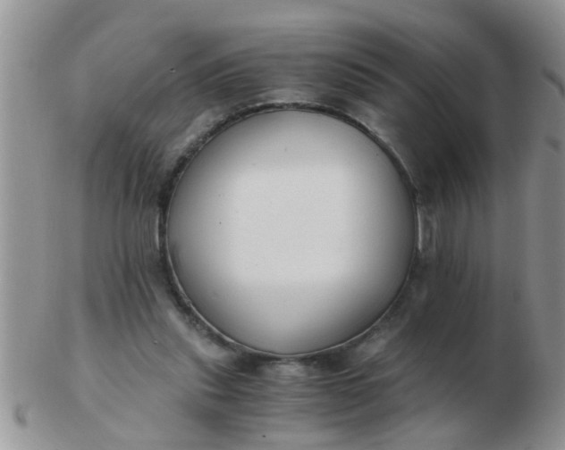 X0000103310253200809122058