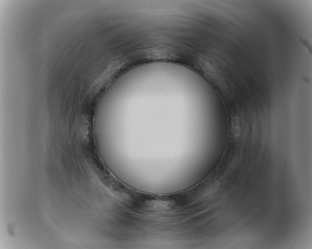 X0000103310255200809122058