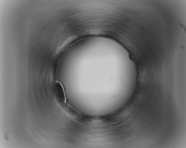 X0000103310256200809122058