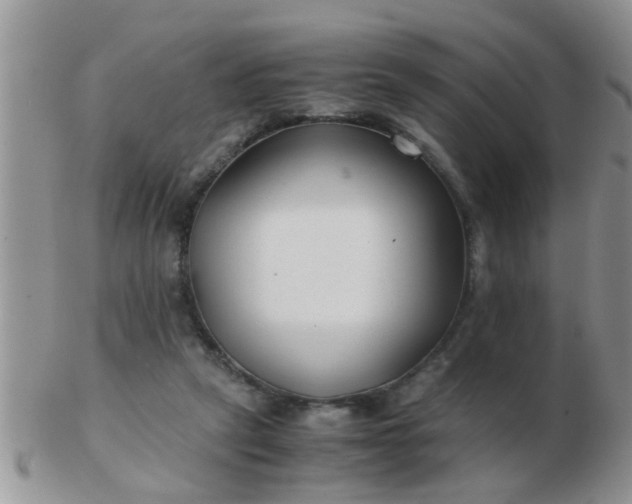 X0000103310257200809122058