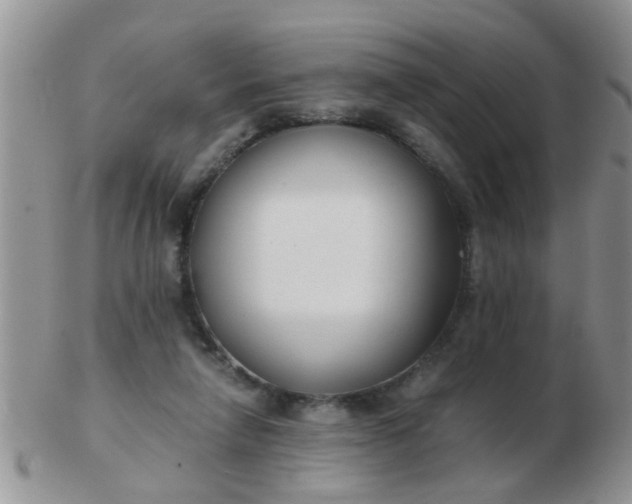 X0000103310258200809122058