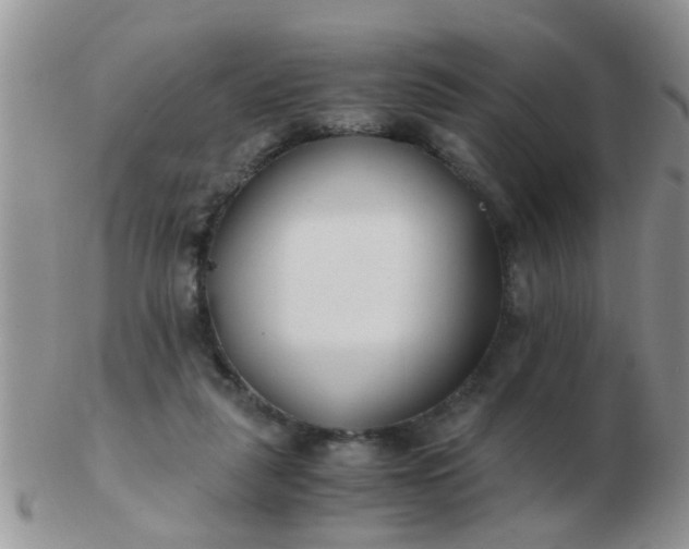 X0000103310259200809122058