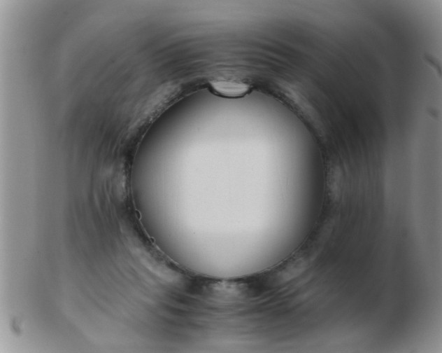 X0000103310261200809122058