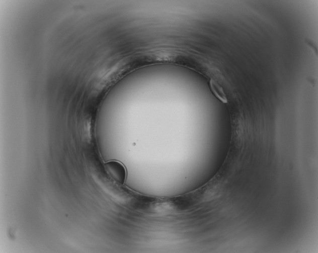 X0000103310262200809122058