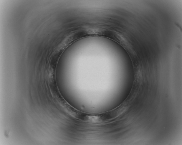 X0000103310265200809122058