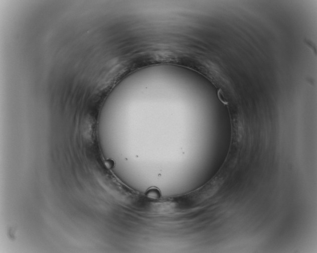 X0000103310266200809122058