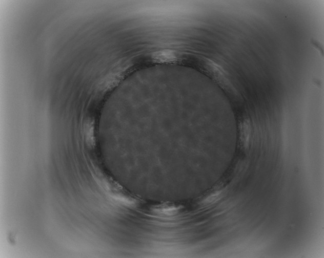 X0000103310267200809122058