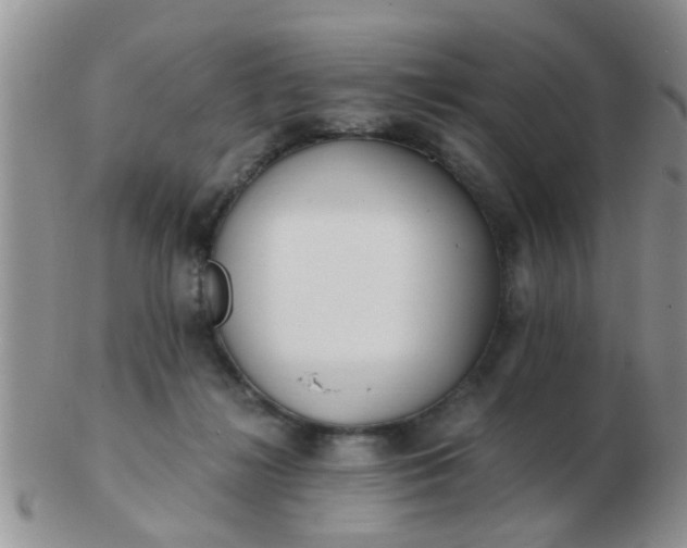 X0000103310268200809122058