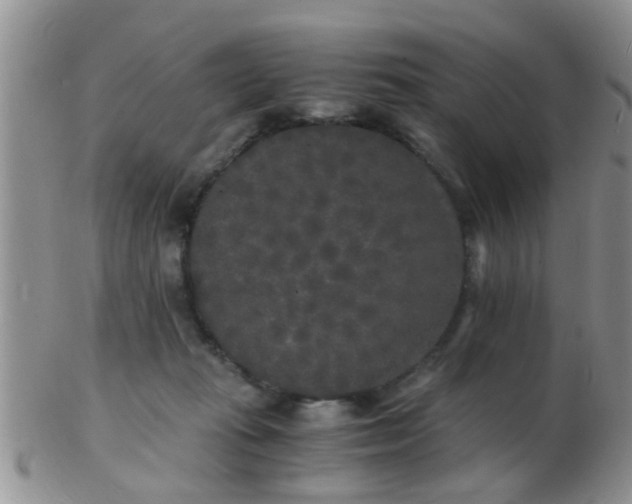 X0000103310269200809122058