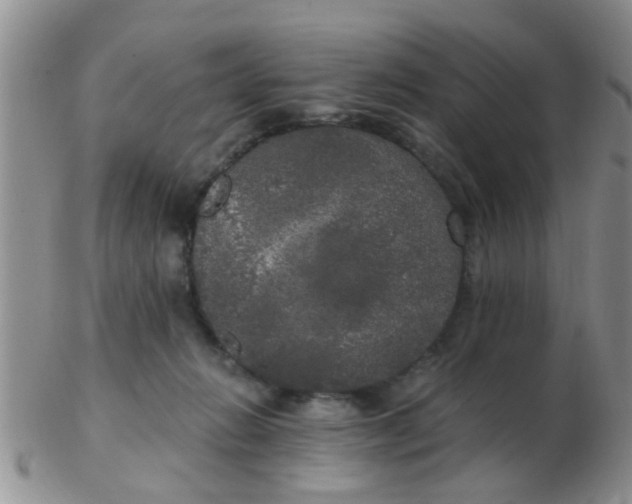 X0000103310270200809122058