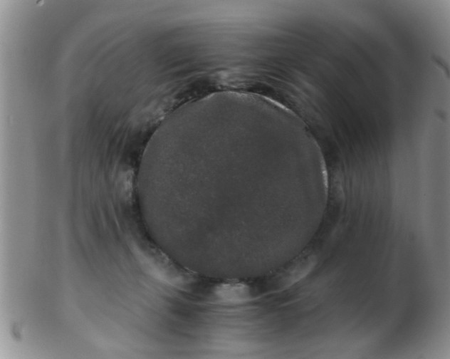 X0000103310271200809122058