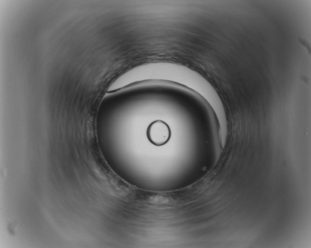 X0000103310272200809122058