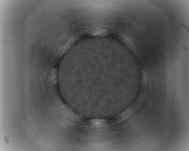 X0000103310273200809122058