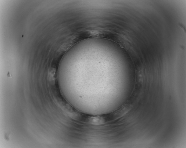 X0000103310275200809122058