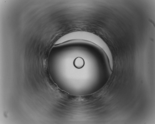 X0000103310276200809122058