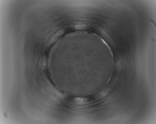 X0000103310277200809122058