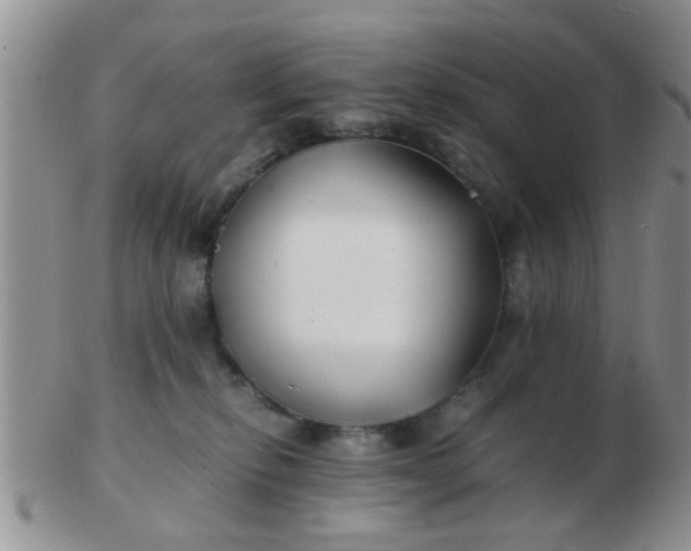 X0000103310278200809122058