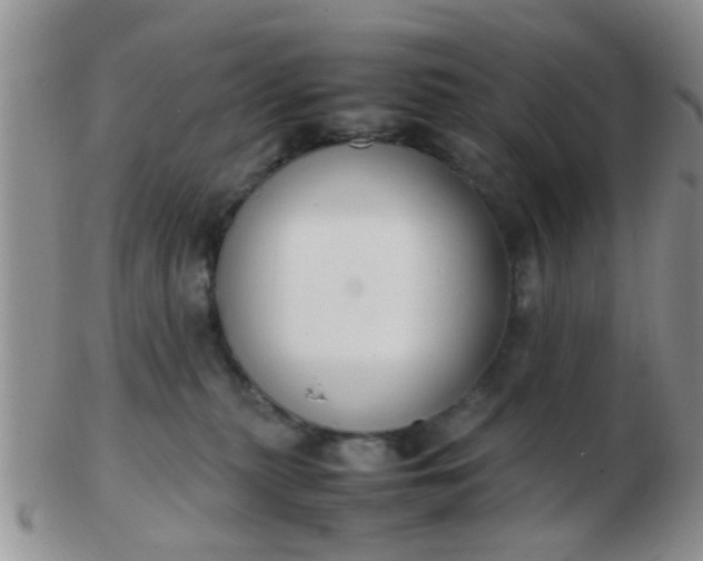 X0000103310279200809122058