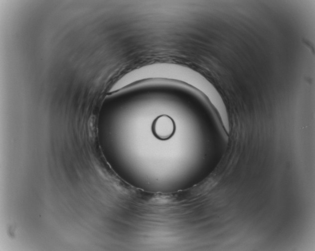 X0000103310280200809122058