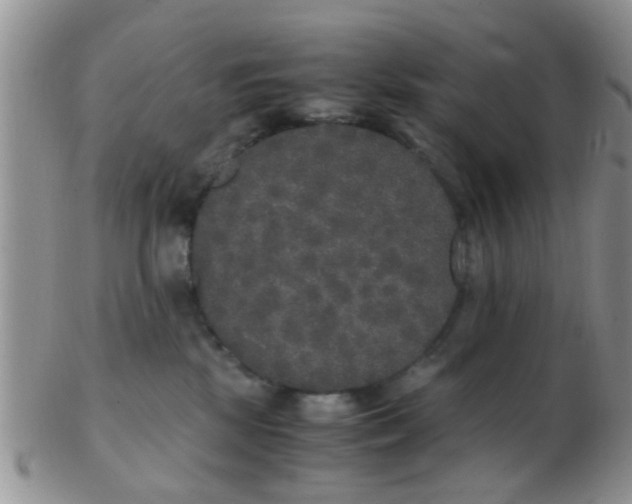 X0000103310281200809122058