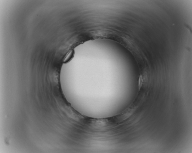 X0000103310282200809122058