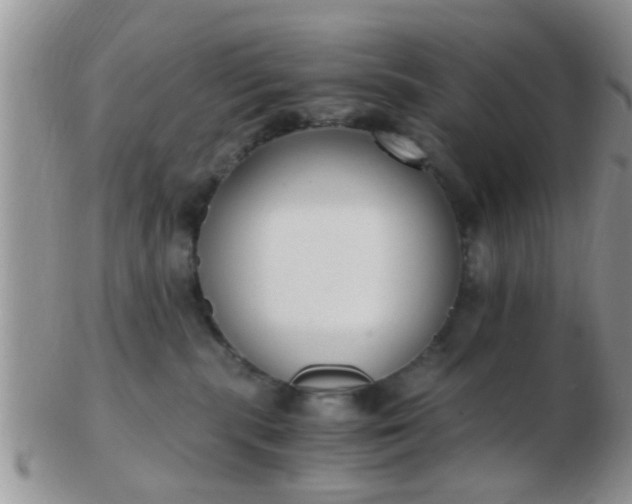 X0000103310283200809122058