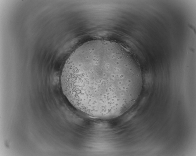 X0000103310284200809122058