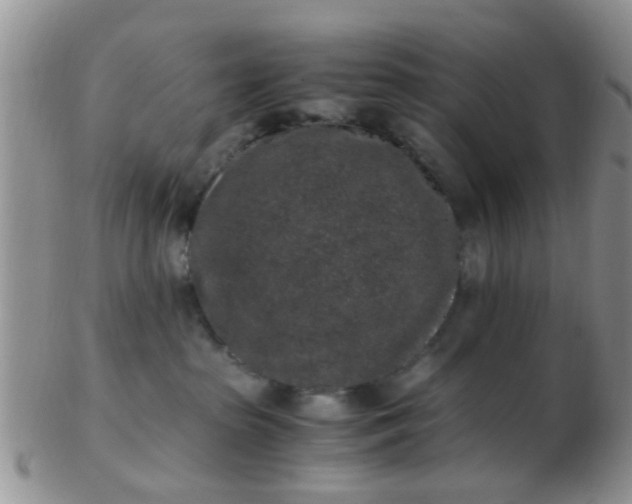 X0000103310285200809122058