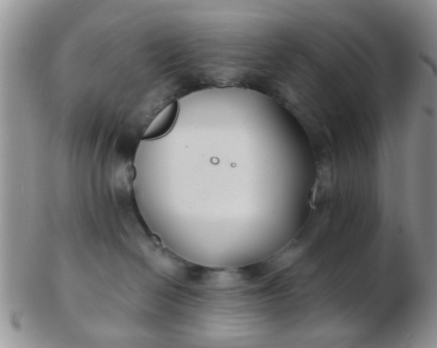 X0000103310286200809122058