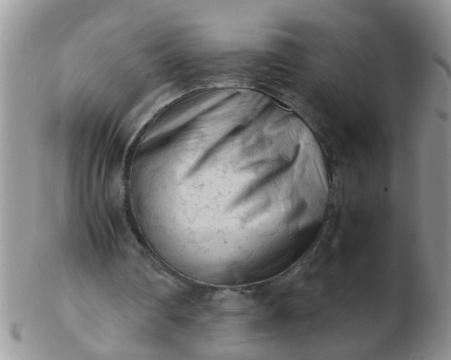 X0000103310290200809122058