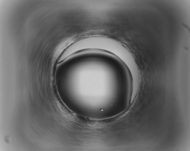 X0000103310293200809122058
