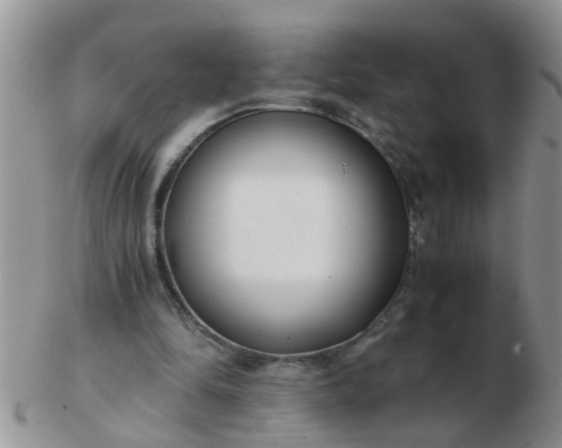 X0000103310294200809122058