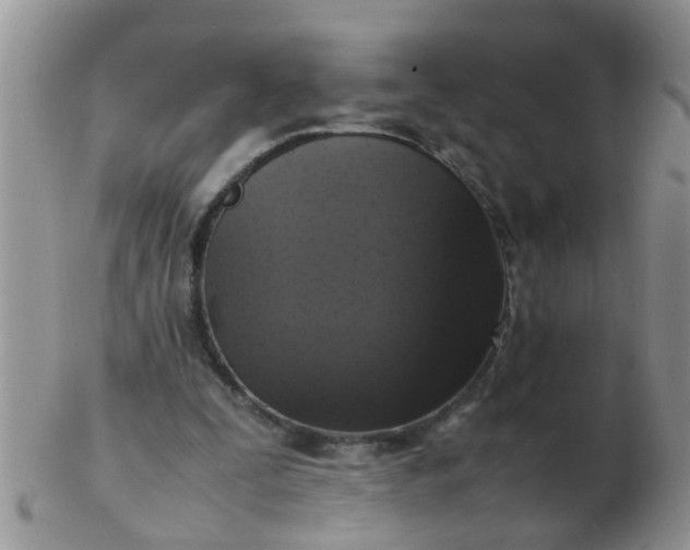 X0000103310295200809122058