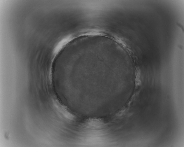 X0000103310296200809122058