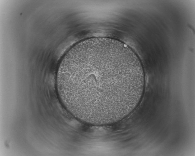 X0000103310297200809122058